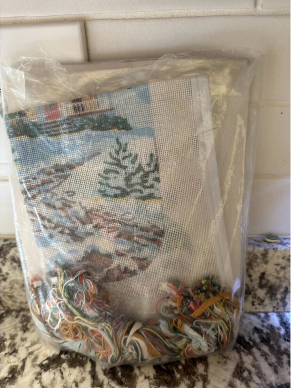 Something Special Needlepoint Country Christmas Scene Stocking Kit  NOS 12